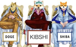 kiboshib kibshi meme coin 2023