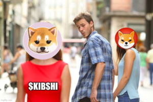 KIBSHI meme coin