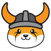 FLOKI meme coin on ethereum