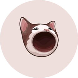 popcat memecoin