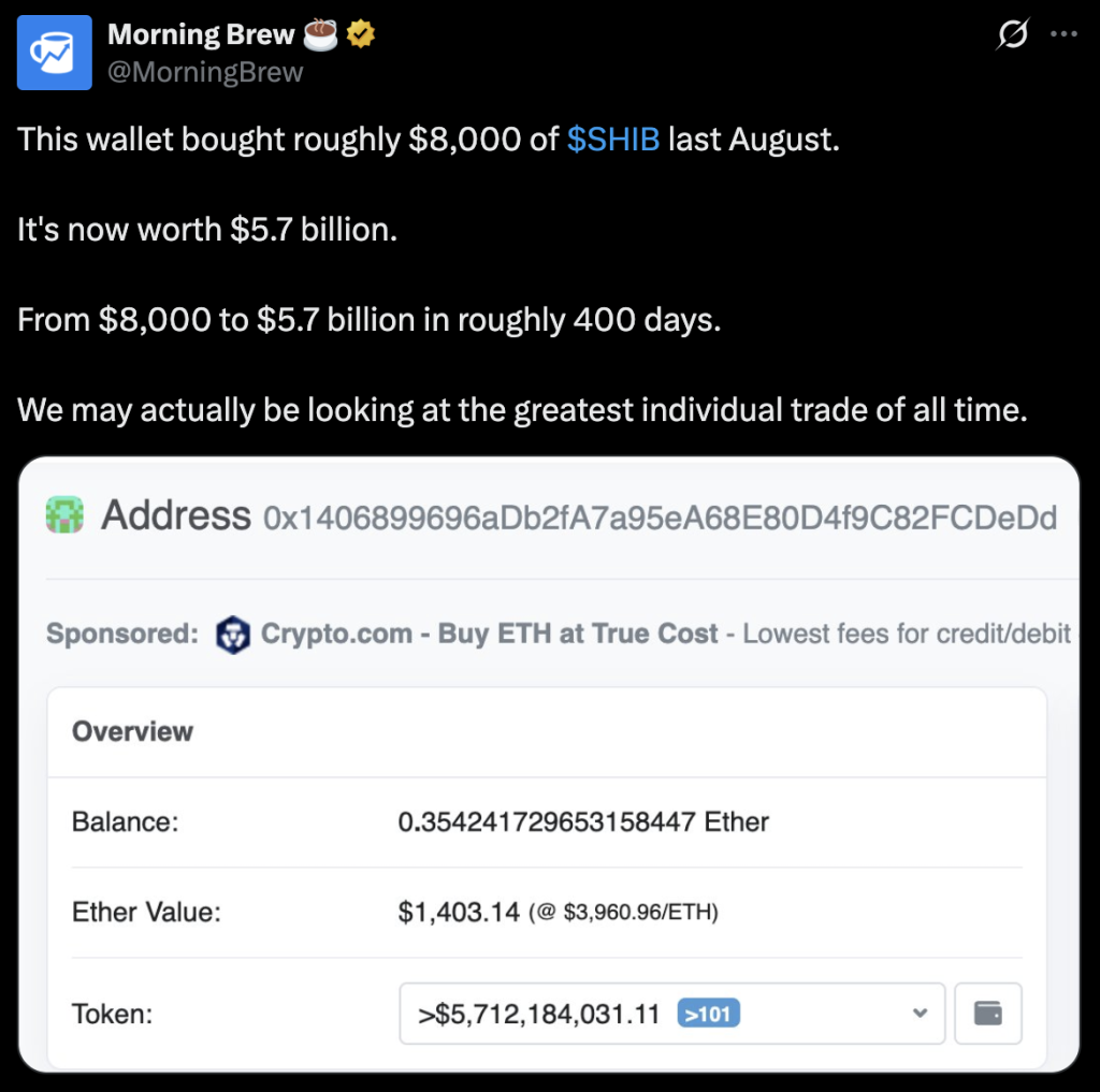 shiba inu coin billionaire